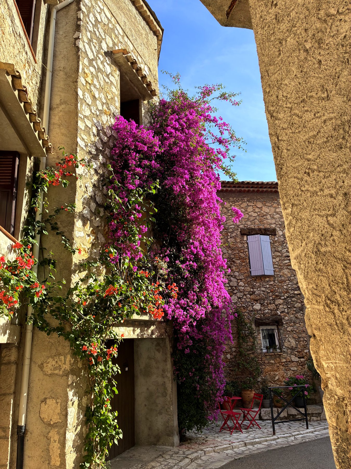 Lane under the bougainvillea