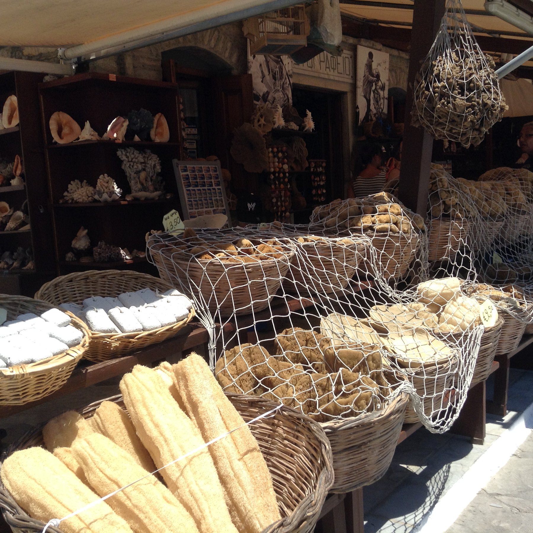 Sponges at the market