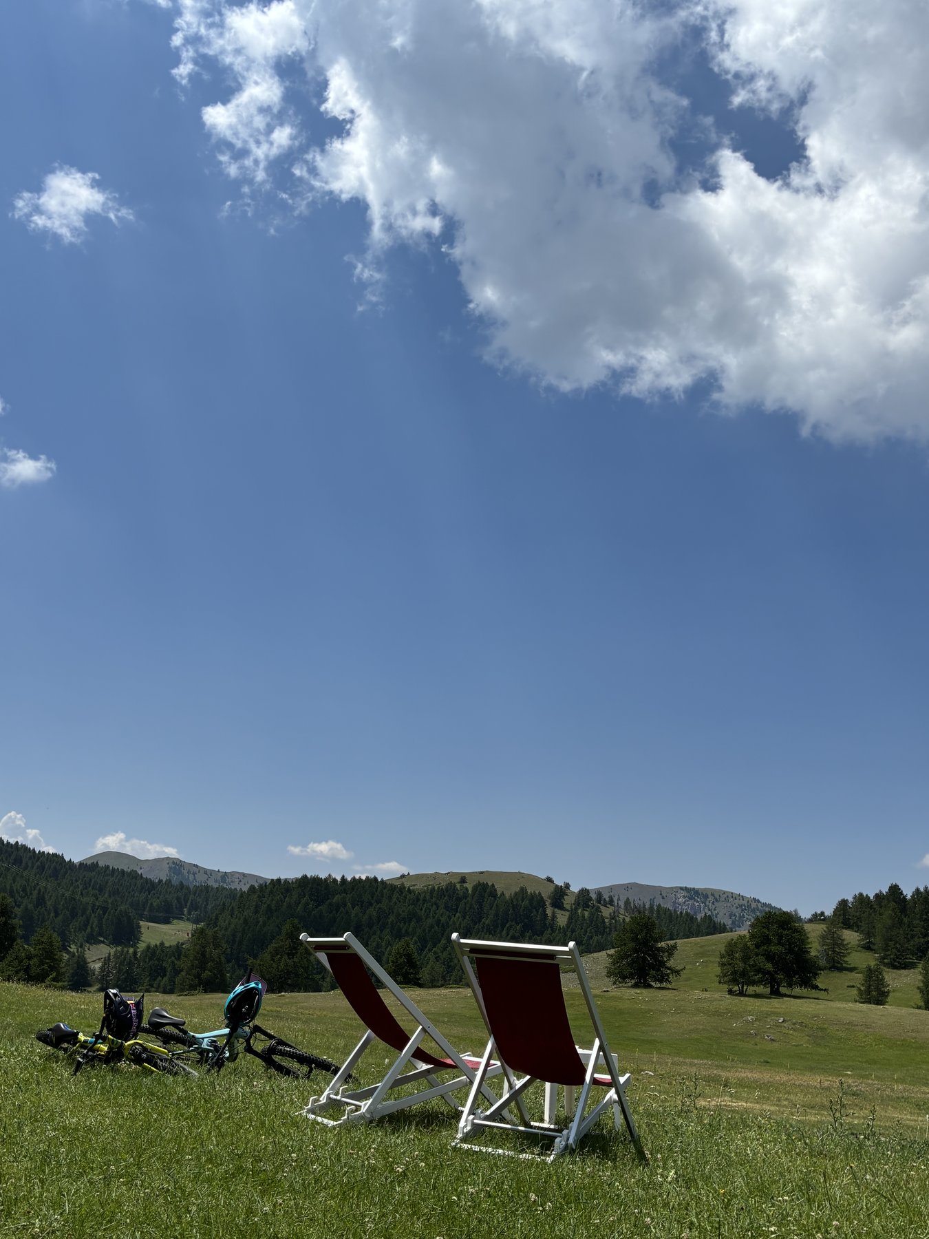 A pause in the meadow
