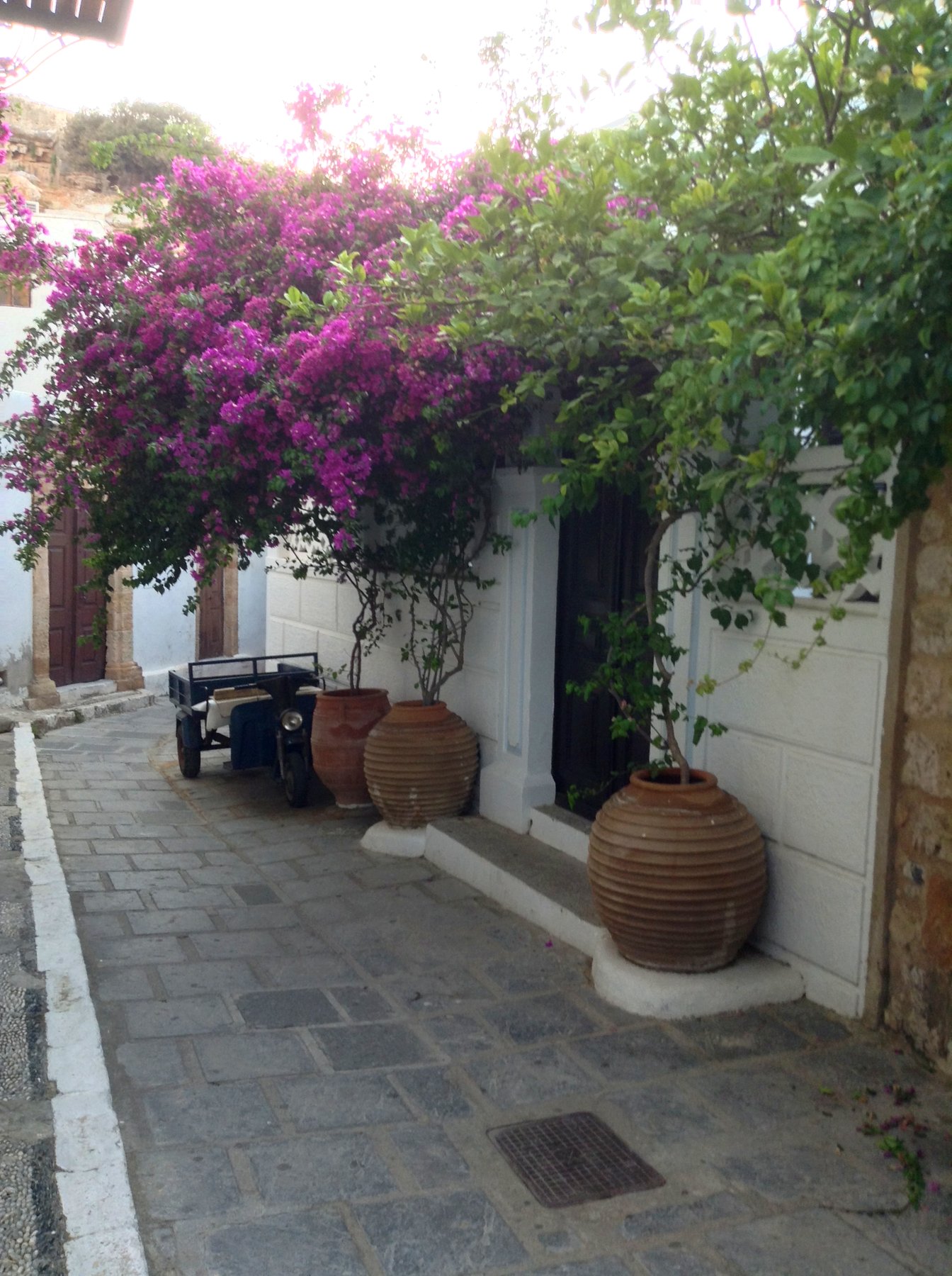 Flowered lane with terracotta jars, Menorca