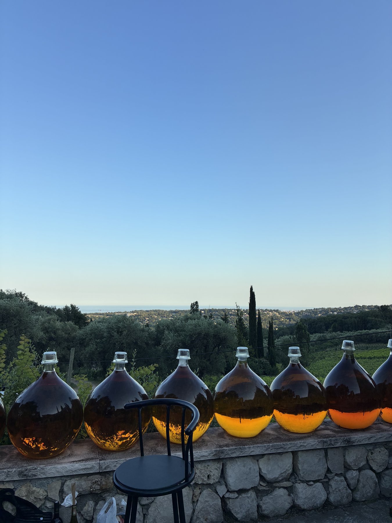 Demijohns at sundown