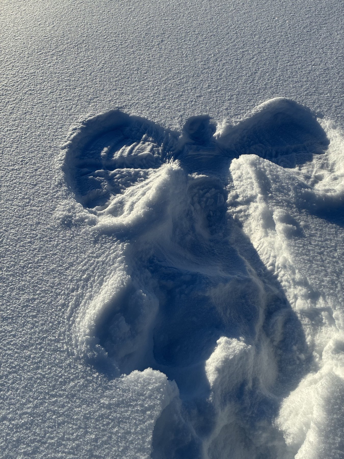 A snow angel