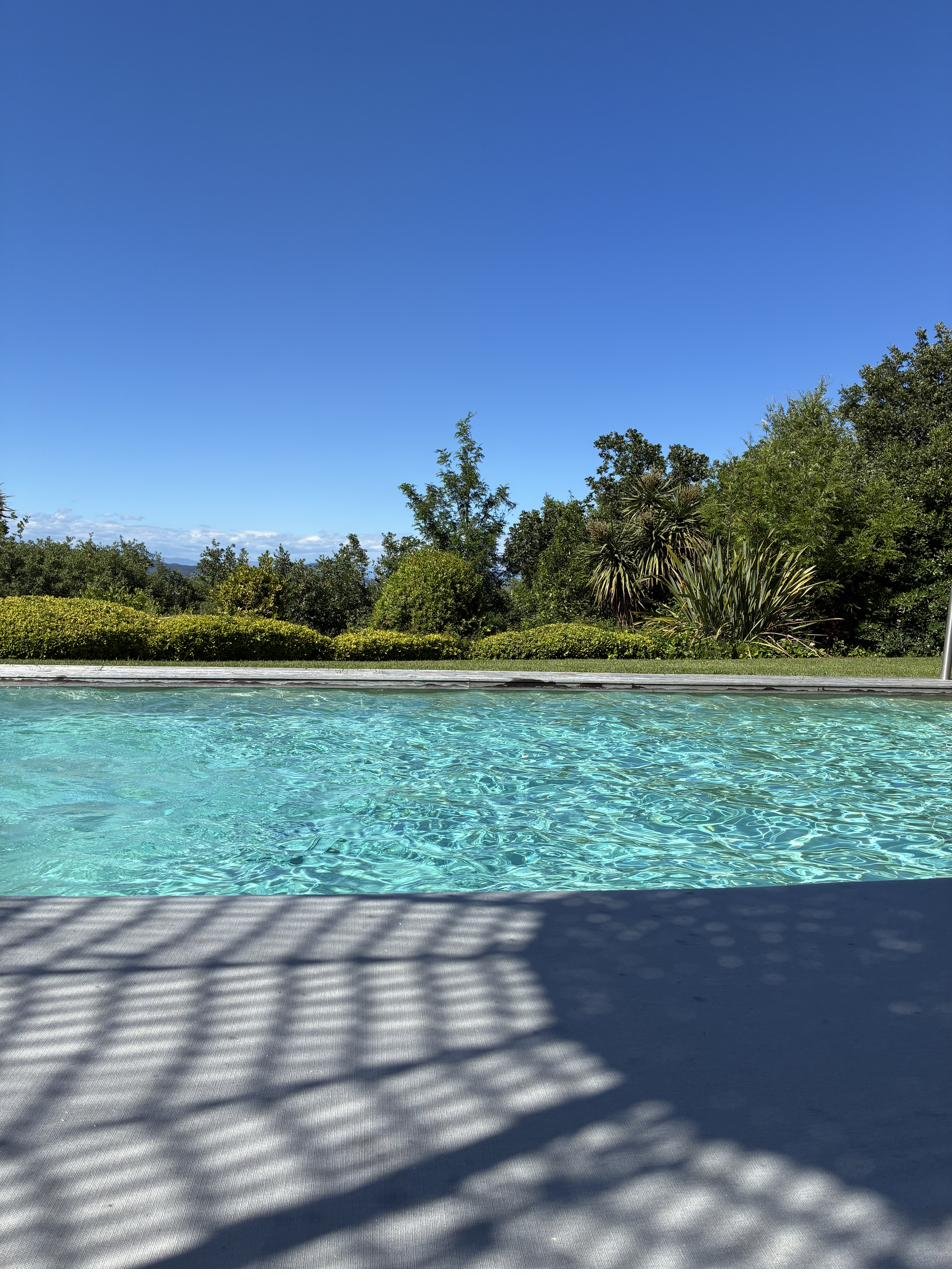 The pool, full sun
