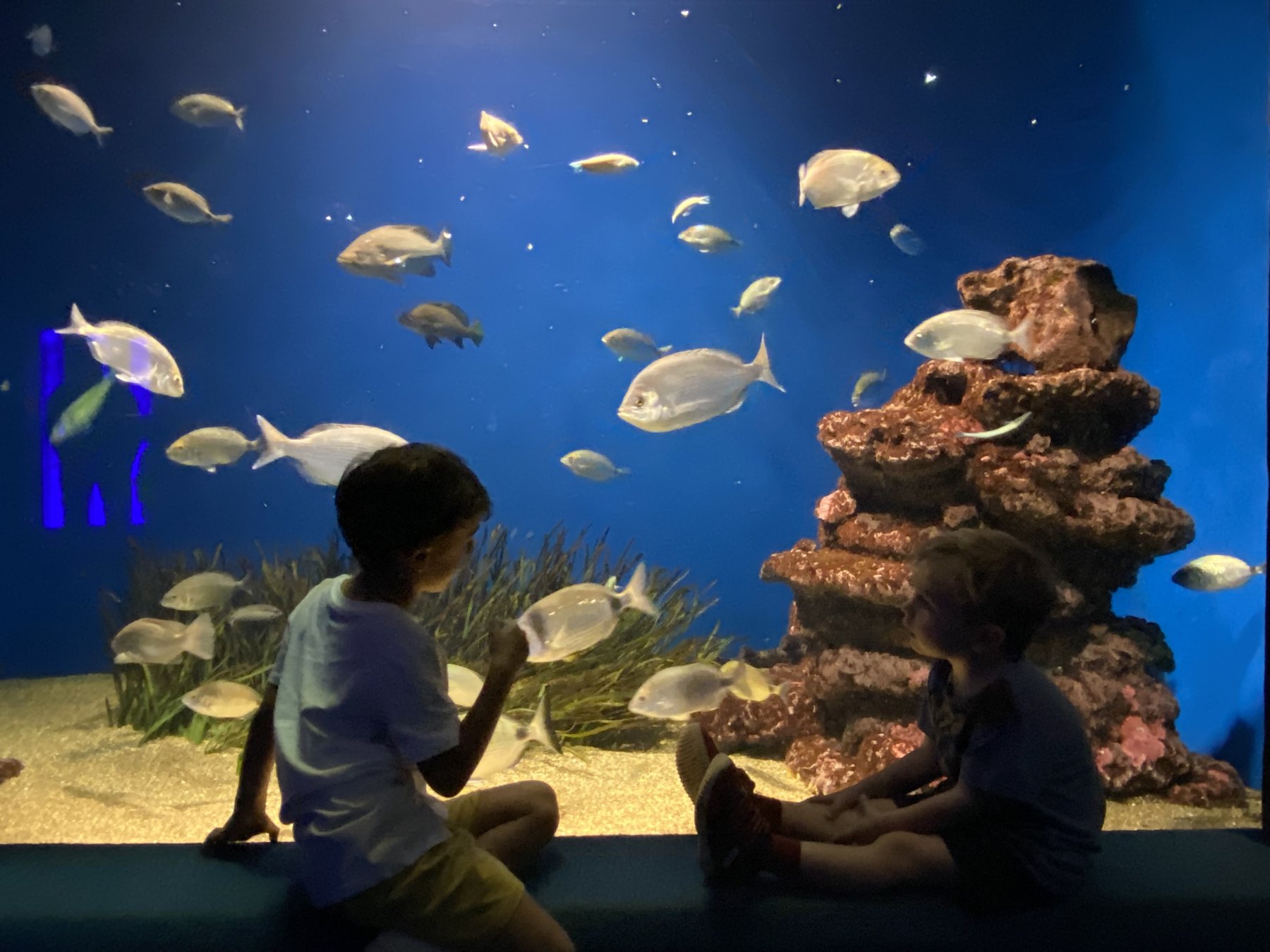 Two children watching fish at the Palma de Mallorca aquarium